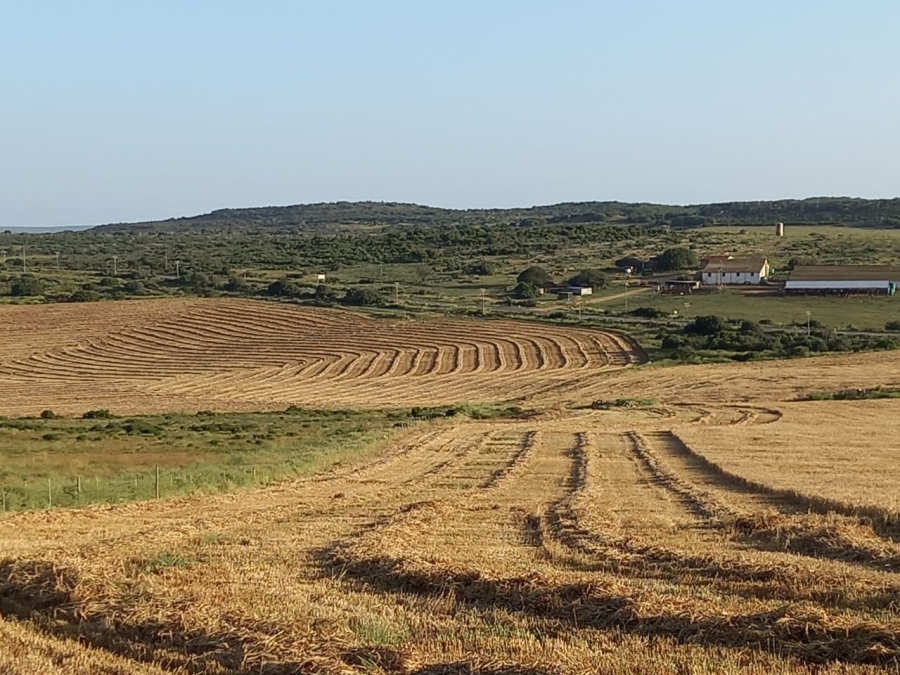  Bedroom Property for Sale in Riversdale Rural Western Cape